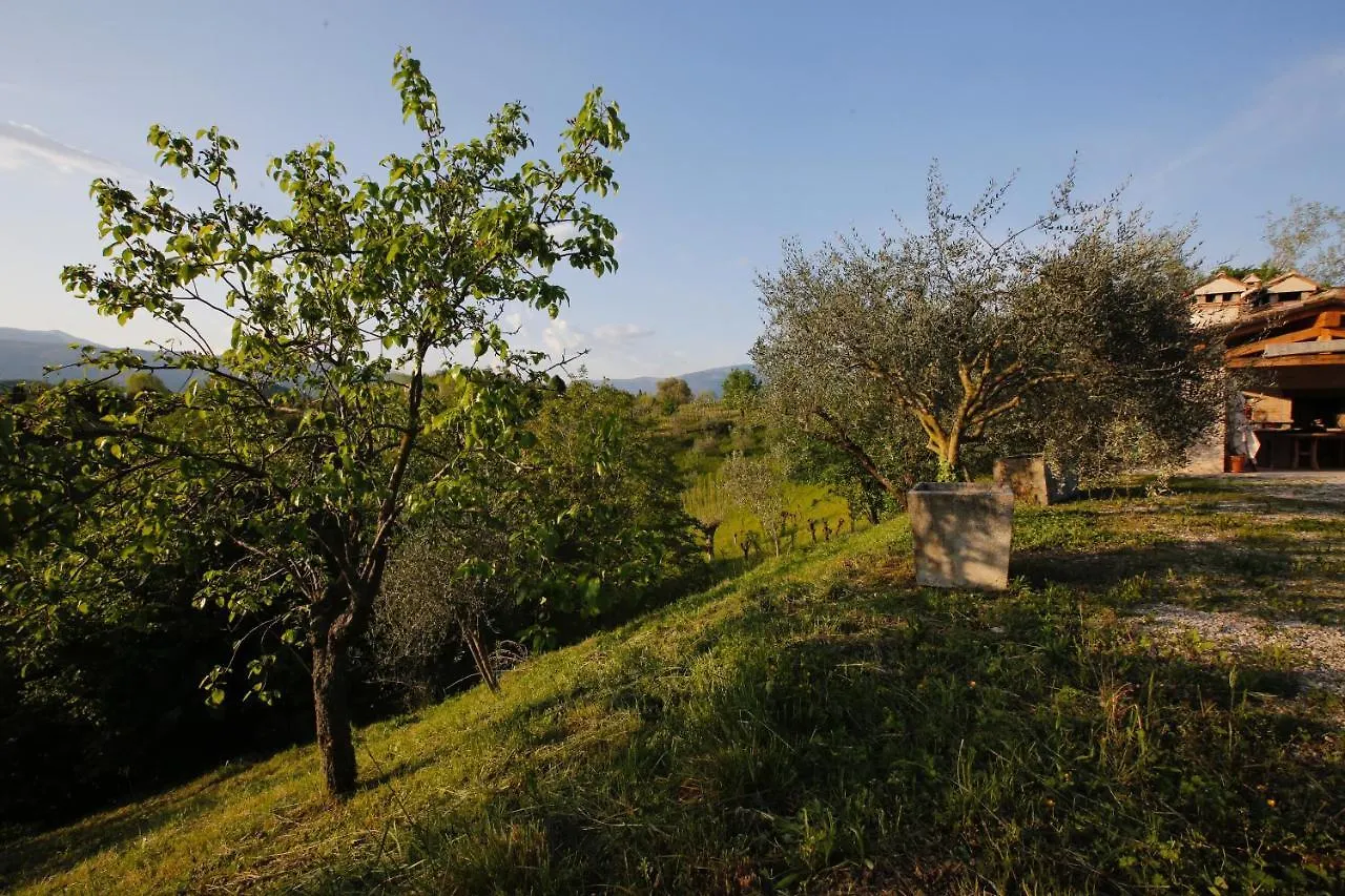 Asolo Norah'S Hill Agri Rooms Monfumo