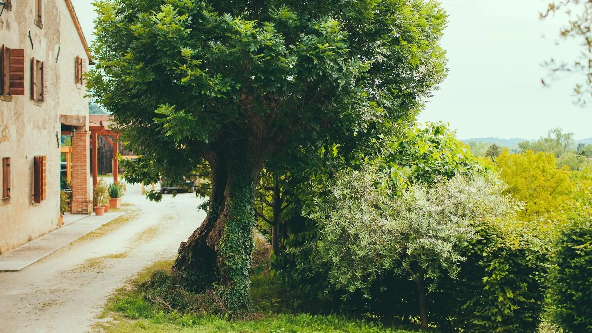 农家乐 Asolo Norah'S Hill Agri Rooms Monfumo