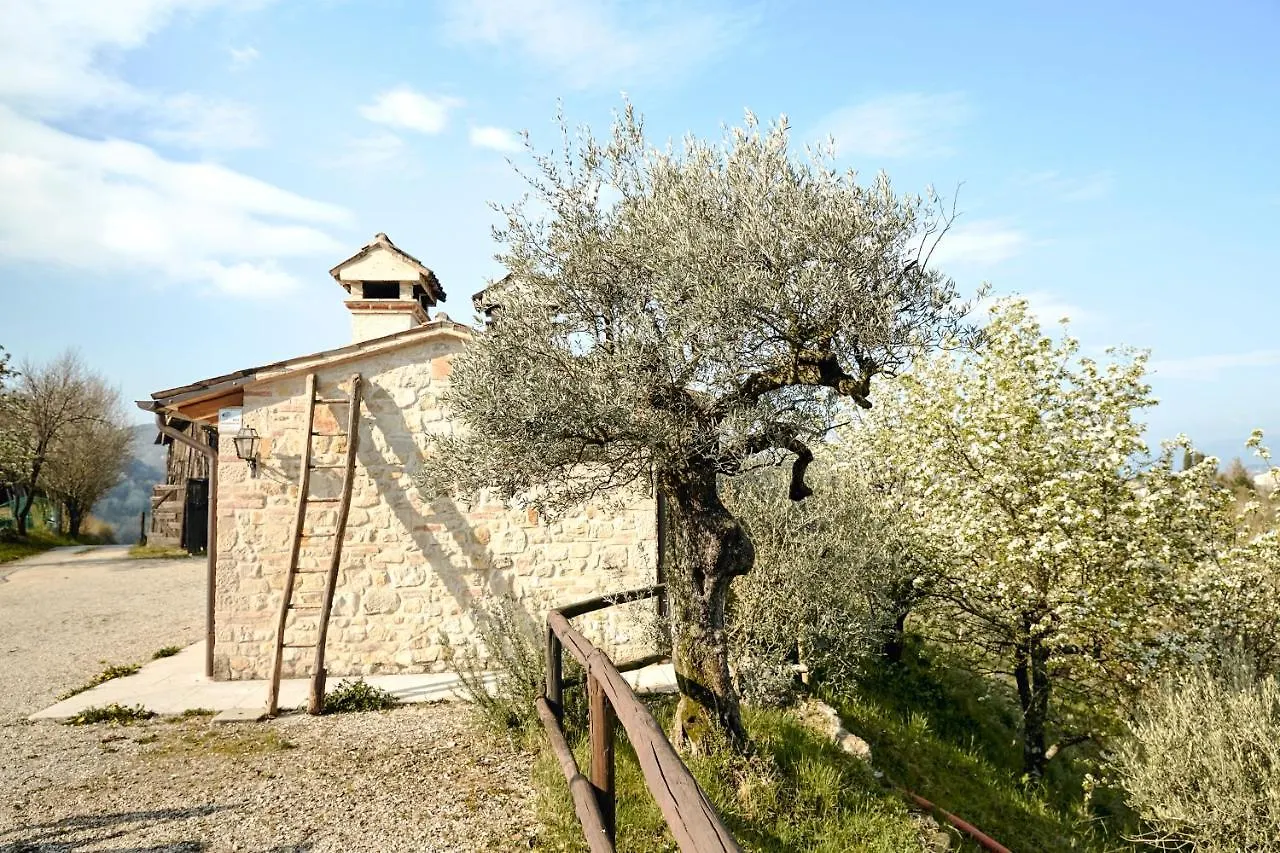 Asolo Norah'S Hill Agri Rooms Monfumo Italia